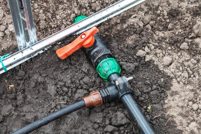 Plant Irrigation Installation in Honolulu, HI