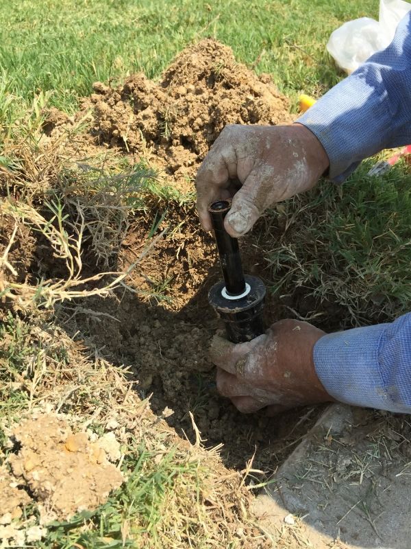 Sprinkler Head Replacement in Honolulu, HI