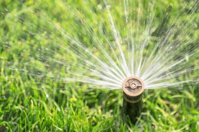 Sprinkler Head Replacement in Aiken, SC