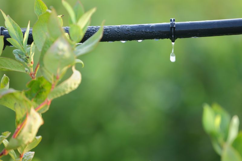 Watering System Installation in Aiken, SC