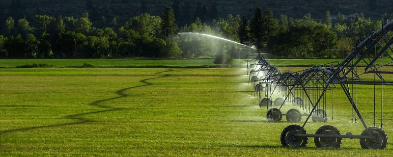 Yard Irrigation Installation in Honolulu, HI