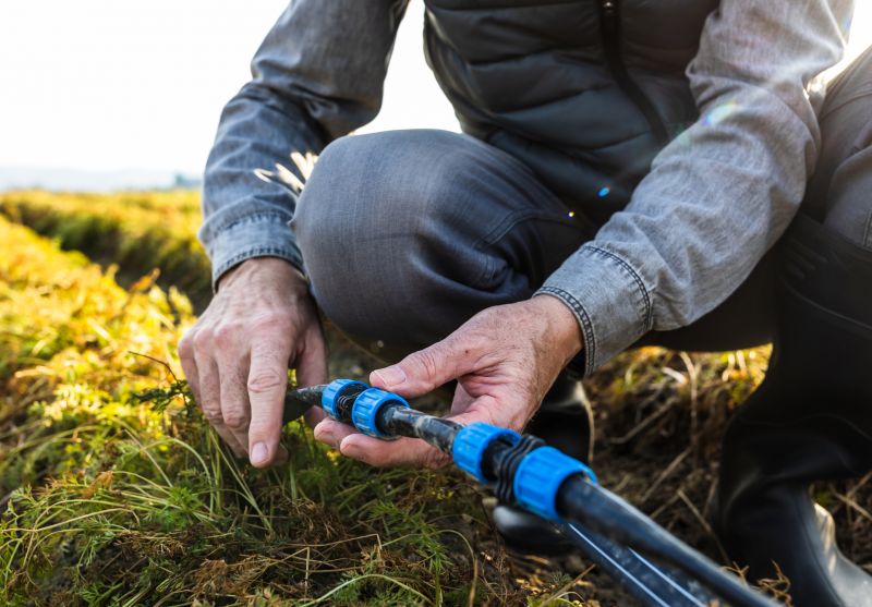 Pop Up Sprinklers Repair in Ventura County, CA